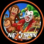 Nextspin Logo